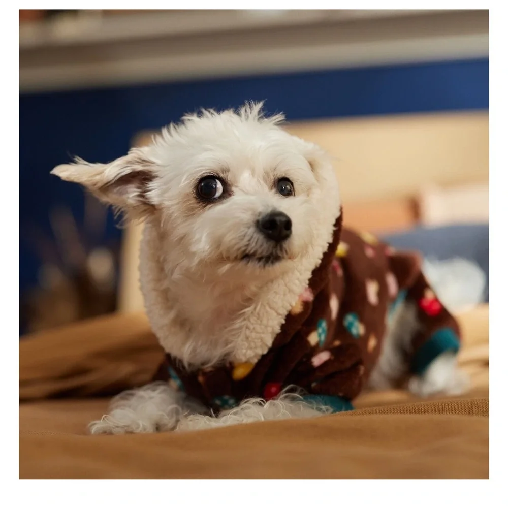 Frisco Cozy Plush Fleece Dog & Cat PJs, Mushrooms, Small